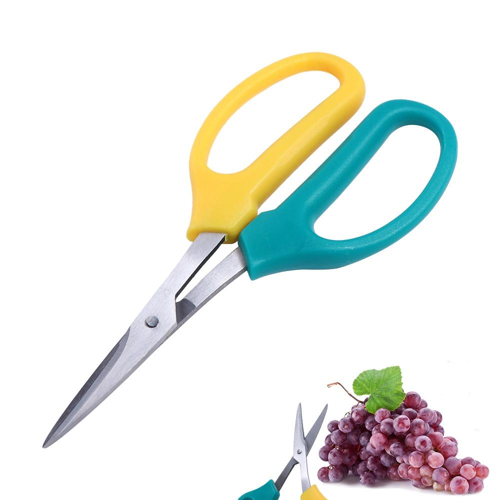 Pruners Pruning Shears Sharp Grape Scissors Multifunctional Garden Scissors  Two-color