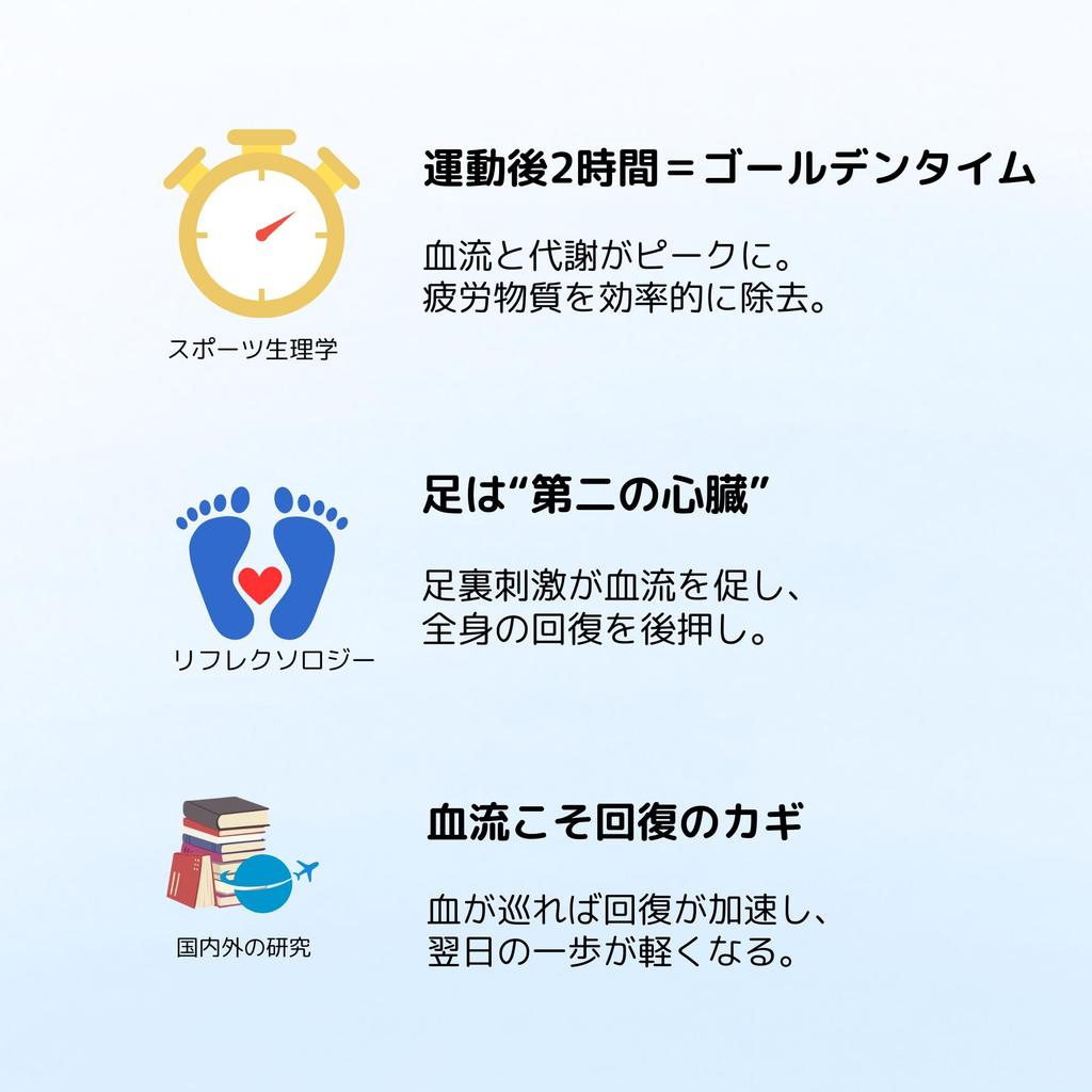 Large foot brush for promoting blood circulation Foot care for preventing fatigue and cold prevention [Footopia] falls, recovery,