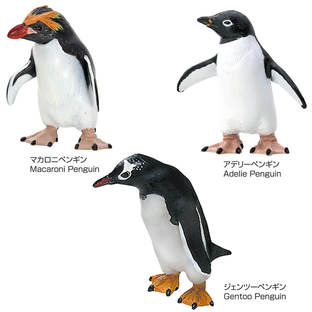 COLORATA Penguin 3D Picture Book 13 Pieces Explanation Real Figure Birthday Present Gift Sanitation Law Figure Penguin Christmas Present (12 Types, /