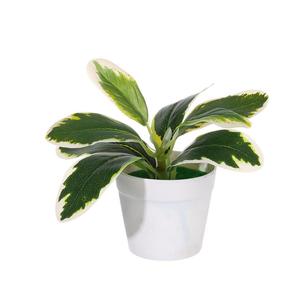 Props Home Decoration Desktop Ornament Faux Grass Lifelike Greenery Potted Artificial Plants Bonsai Simulation Scindapsus