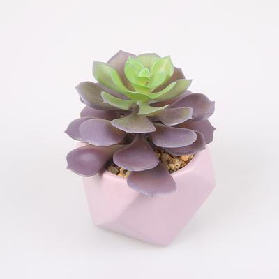 Simulation Succulent Plant Diamond Ceramic Bonsai, Nordic Office Small Fresh Decoration Comfortable Body And Mind Es1267-31