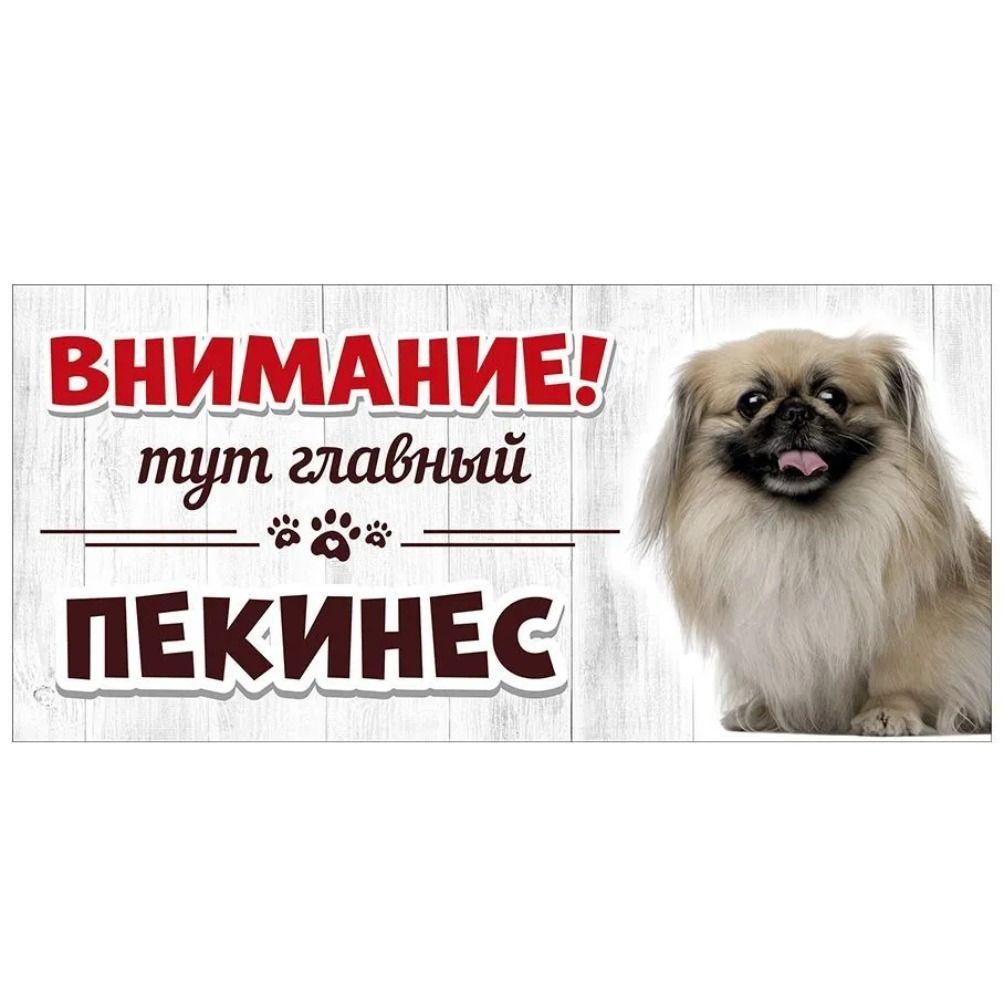 Evil Pomeranian Spitz Sign, Metal Fence Door Plaque 30x15cm