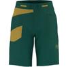 Sierra Rock Shorts Green