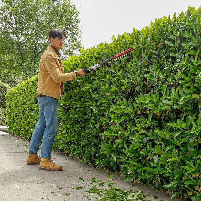 Greebo PTF414 40V Cordless High Branch Hedge Trimmer CN plug (adapter included)