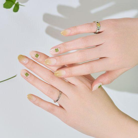 EDGEU Shop Gel Nail/Pedi Stickers 41 Types