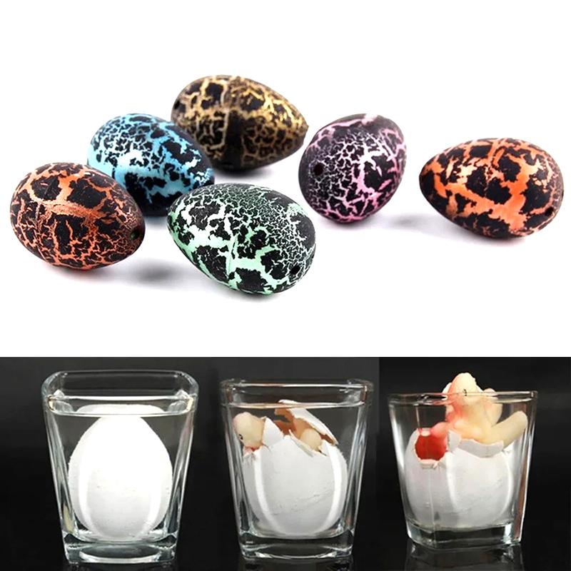 5Pcs Birthday Creative Novelty Science And Education Toys Soak In Water To Hatch Dinosaur Eggs Children'S Educational Props