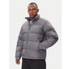 Winter Jacket Pike Lake™ II 2050941, Grey, Standard Fit
