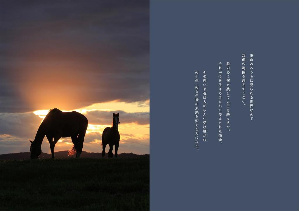 Umaletter Photo & Poem 100 Heartwarming Messages from Horse Breeding Areas