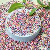 Home Party Supplies Zubehör Rocailles Perlen Zubehör Spacer Perlen Armband Halskette 1000 Stück/Lot 2mm für handgefertigte Charms Tschechisches Glas Mini DIY