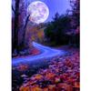 DIY 5D Diamond Painting Landscape Full Moon Cross Stitch Kit Rhinestone Diamond Embroidery Mosaic Art Home Decoration Picture