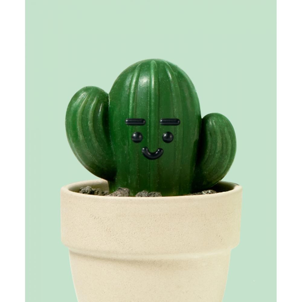 Donggubat [Spezial-Set] All-in-One Parfümöl-Riegel + Kaktus-Riegel Objekt Geschenkset