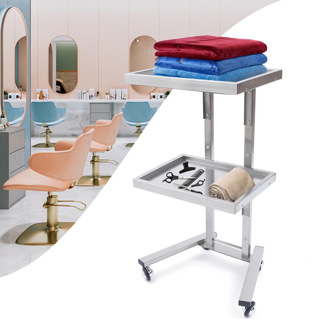 2-Tier Mobile Beauty Hairdressing Cart, Stainless Steel Rolling Utility Organizer for Salon Styling Supplies, 11lbs Capacity