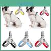 Breathable And Reflective Dog Harness With Saddle Shape