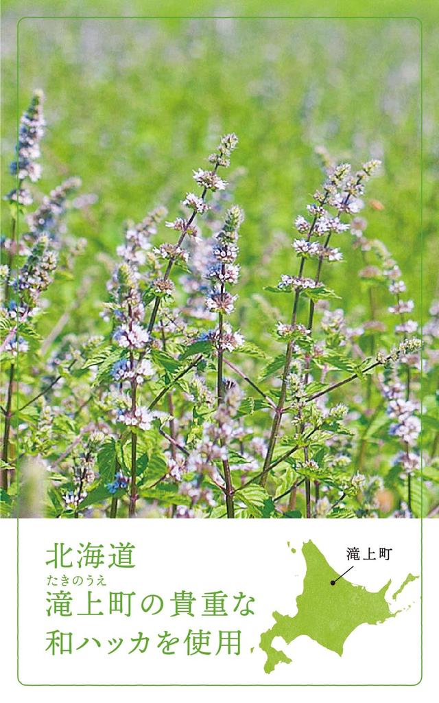 Natural Island Forest Skin UV 55g Outdoors and Aroma X UV Water Resistance X Cooling Insect Repellent Protection. [For sports/Natural SPF50+ & PA++++