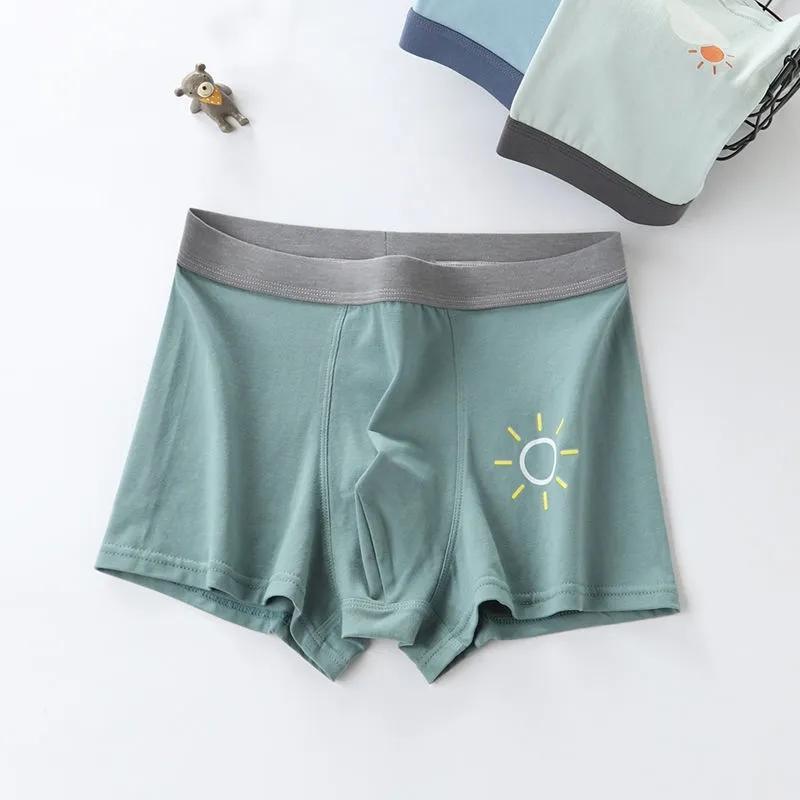 Teenage Underwear Male Development Period Students Cotton Junior High School Students 13-16 Years Old Big Boy Boxer Pants