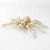 Halloween Decoration Mini Skeleton Bone Statues Poseable Rat Dog Spider Cat Owl Skeleton Figurine for Haunted House Party Decor
