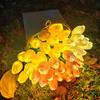 10/15Pcs Tulip Flower Night Light with Bendable Stems LED Bouquet for Home Decor Warm Glow Bedside Lamp for Bedroom Wedding Romantic Gift for