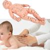 Children Massage Model Training Doll with Acupoints Infant Body Meridians Teaching