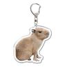 Cartoon Capybara Capybara Keychain Resin Animal Capybaras Keyrings Key Rings   Bag Charm