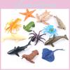 Realistic Ocean Life 12 Piece Set Pvc Marine Animal Figures Including Starfish Octopus Seal And Shark Toys For Underwater World Exploration
