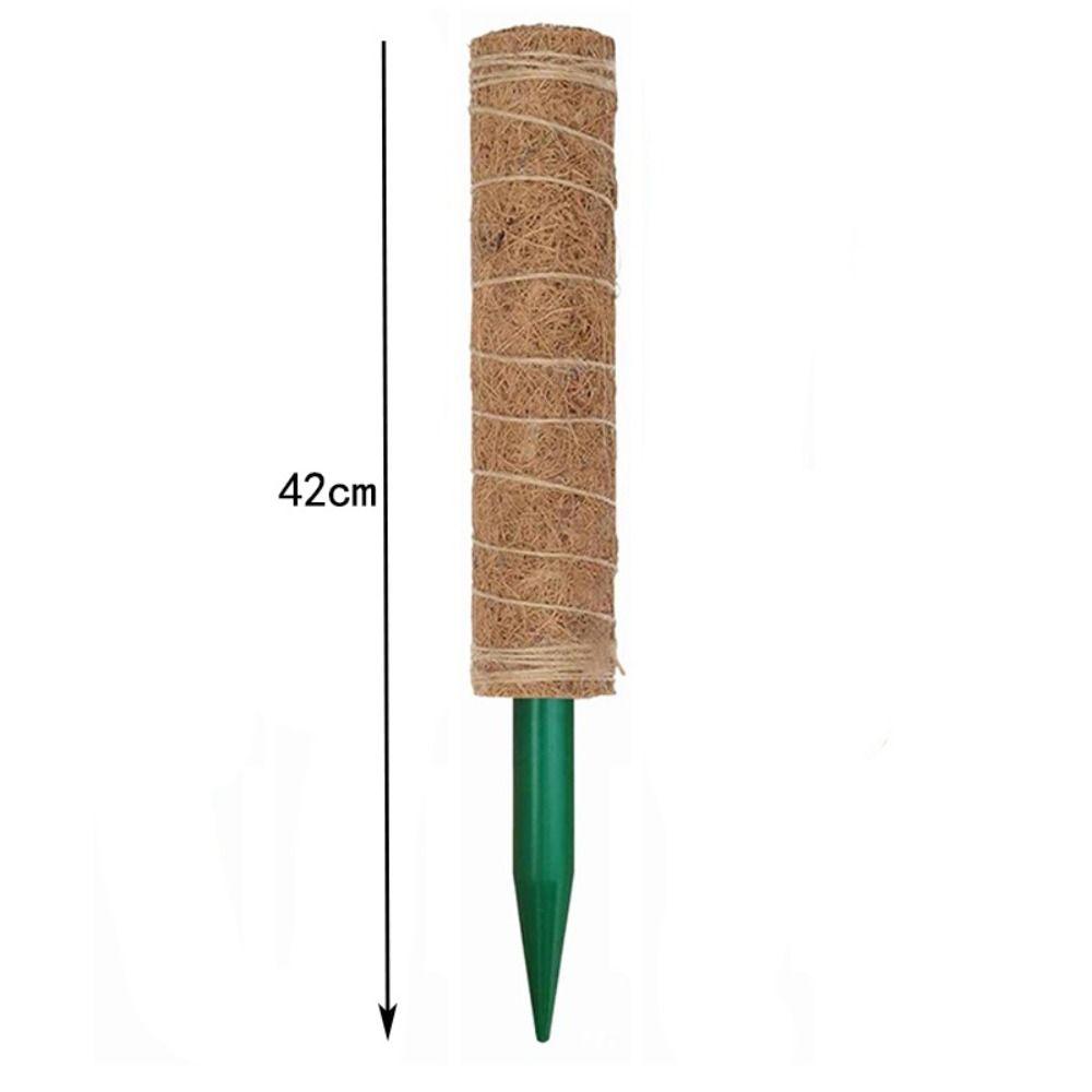 Fashion Detachable Moss Pole 32/42/52cm Gardening Tools Plant Climbing Pole To Grow Upwards Coconut Palm Stick Indoor