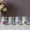 Hand-Painted Pastoral Owl Mug with Handle 