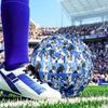French Bulldog Size 5 Soccer Balls, Anti-Slip, Protective Football, Outdoor Sport, Practice Games, Birthdays Gift Suitable for Fan