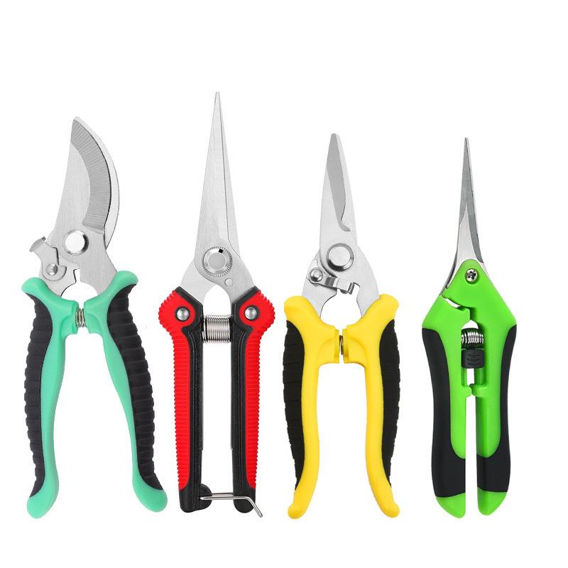 Customized Stainless Steel Pruning and Grapes Shear Set - Includes Garden Tools and Fruit Picking Scissors.