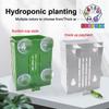 Hanging Suction Cup Hook Aquarium Plant Holder Plastic Aquarium Planter Planter Baskets Aquatic Pot Box Aquascape Decoration