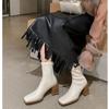 Korean version of elastic short boots 2025 autumn new thick heel square head side zipper thin height increase versatile thin boots women