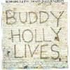 LP Record BUDDY HOLLY  20 Golden Greats MCA1484 MCA 1978 US Rock Used
