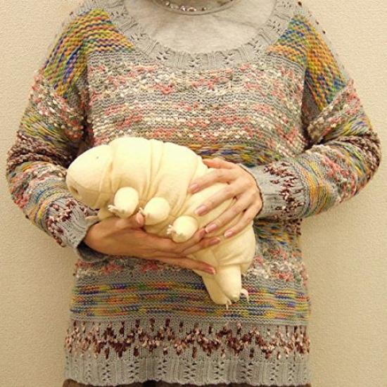 The Strongest Creature Dudarjanyamamakumushi Plush Toy L Beige 7562