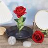 1PC Three Suction Cup Buckle Plastic Transparent Jian Shan Flower Vase Zen Decorative Base