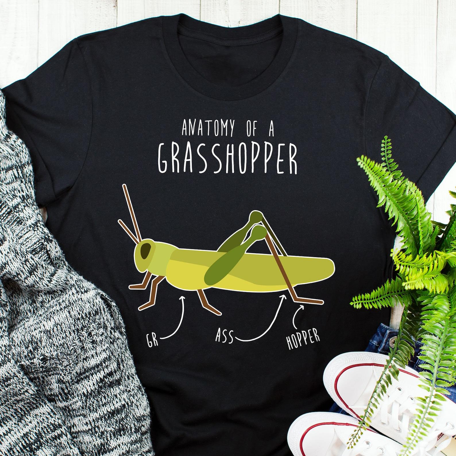 Grasshopper Shirt, , , Funny Grasshopper Lover Gift, Cute Entomology T-shirt, Cricket Tshirt, Entomologist Tee, Insect Lover 150