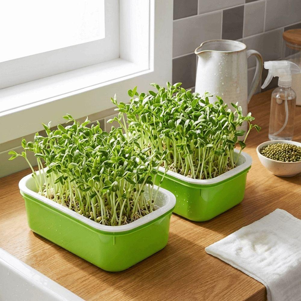 2Pcs Double Layer Germination Tray Plastic Cultivation Pot Soil-Free Nursery Pots Grid Design High Ventilation