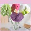 Anthurium Linden Andraeanum Fake Flower For Home Decor And Props Photography