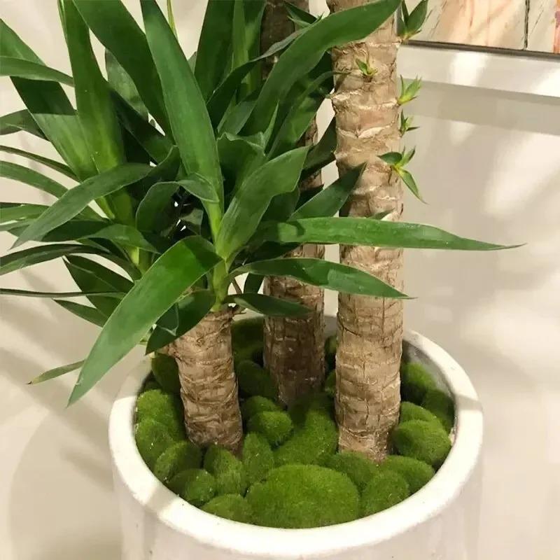 10Pcs Simulation Moss Stone Artificial Moss Rocks Ball Fake Green Plant For Home Garden Flower Pot Decoration Creative Crafts