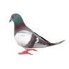 1/2 Stück Geschenk Schreibtischornamente Fotografie Requisiten Imitation Tier Taubenmodell Simulation Graue Taube Künstliche Vögel