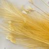New Solid Color Colorful Peacock Grass Floral Decor Wedding Decorations Simulated Reed Grass Artificial Bouquet Office