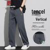 Pierre Cardin Men's Tencel Blend Summer Casual Pants