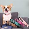 Grenzüberschreitendes graviertes Halsband für Haustiere, für große und kleine Hunde, Anti-Verlust-Lederhalsband, verstellbares Trainings-Halsband mit Hundemarke
