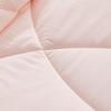 All-Season Antibacterial Anti-Mite Quilt