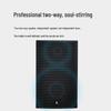 FionTu Qilin 15-inch Full-Range Conference Speaker (CN version)