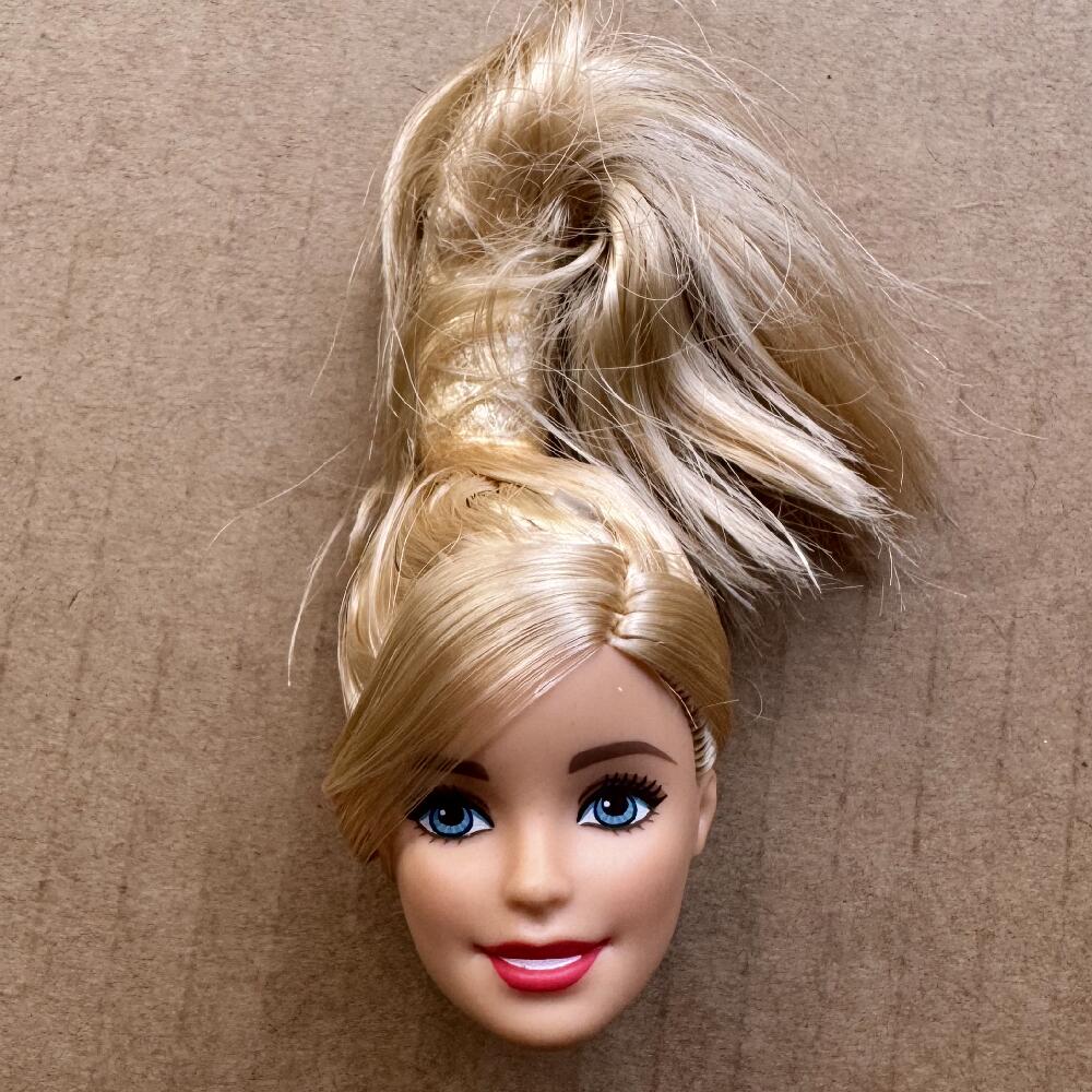 1/6 Doll Heads Rare Face White Beige Brown Skin Tone