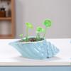 Cute Small Conch Succulent Plant Pots Conch Creative Ceramic Mini Mini Pots Desktop Shell Succulent Ceramic Planter