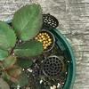 Fertilizer Basket With Lid Fertilizer Box Case Easily Carrying Part Bonsai Fertilizer Container Eco-friendly Tool
