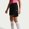 Nike Kids Shorts Moderate