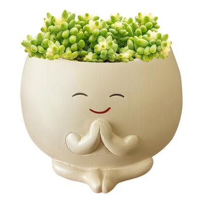 Cute Flower Pots with Drainage Hole Small Cactus Planter Resin Smile Face Flower Container for Home Room Decor