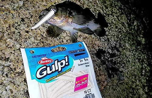 Berkley Gulp! SW Sandworm 2 Zoll Ente G2SQSW2-C Ajing Felsenfisch