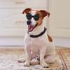 Dog Goggles for Medium Small Dog Waterproof Dog Sunglasses Windproof Goggles Adjust Pet Goggles